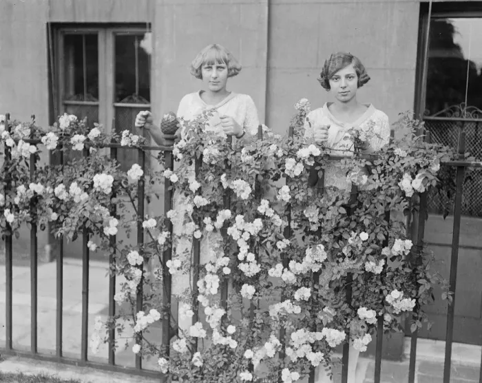 Framed Print : London Royal Visitors Infanta Beatrice and Infanta Christina seen in Kensington Framed Print : London Royal Visitors Infanta Beatrice and Infanta Christina seen in Kensington