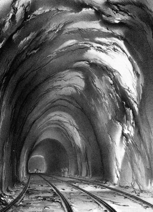 Framed Print : Long tunnel - Foxs Wood Framed Print : Long tunnel - Foxs Wood