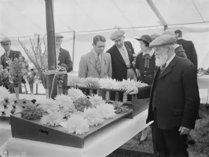 Framed Print : The Longfield Flower Show, Kent. 1938 Framed Print : The Longfield Flower Show, Kent. 1938
