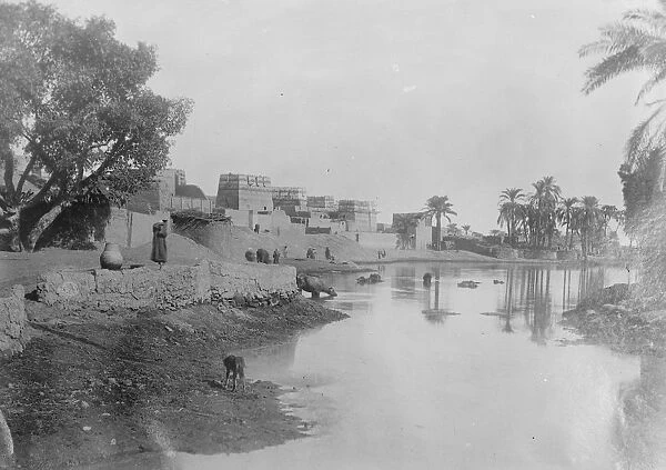 Lord Canarvons treasure find. A panorama of the eastern end of Luxor, the scene