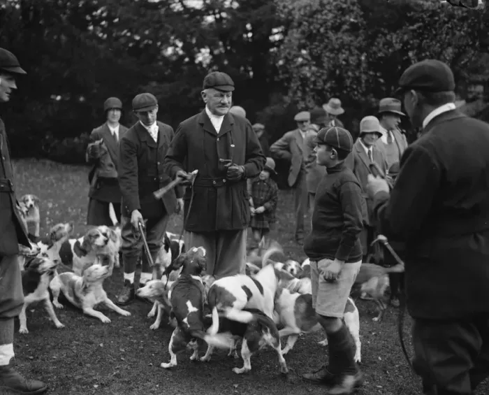 Framed Print : Lord Cornwallis with the Linton Beagles. 27 October 1928 Framed Print : Lord Cornwallis with the Linton Beagles. 27 October 1928