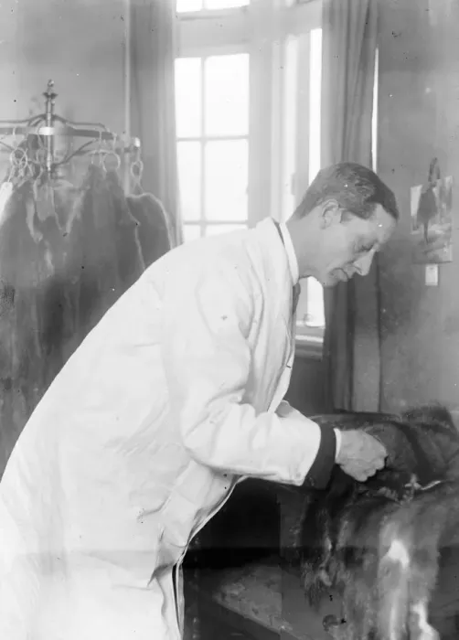 Framed Print : Lord Victor Paget as a furrier in a Hanover Square Salon. Lord Victor Paget examining Framed Print : Lord Victor Paget as a furrier in a Hanover Square Salon. Lord Victor Paget examining