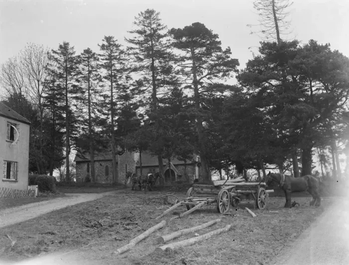 Framed Print : A lumber team at work around Throwley Church in Kent. 1937 Framed Print : A lumber team at work around Throwley Church in Kent. 1937