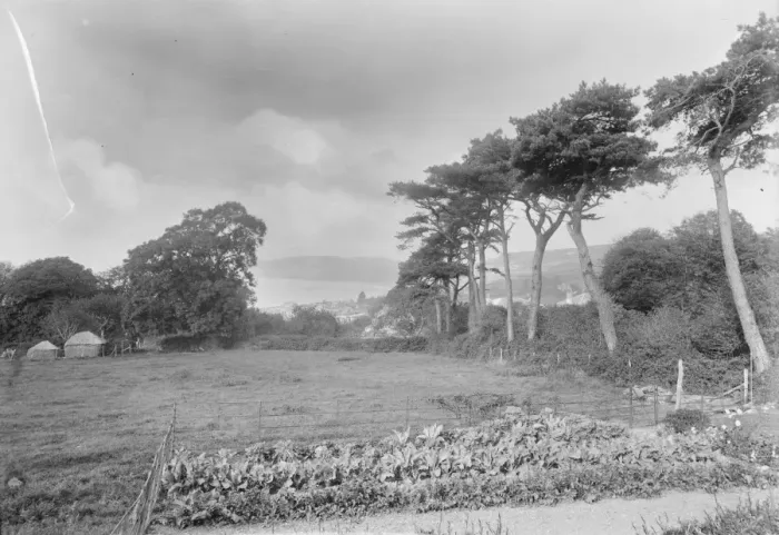 Framed Print : Lyme Regis. 1925