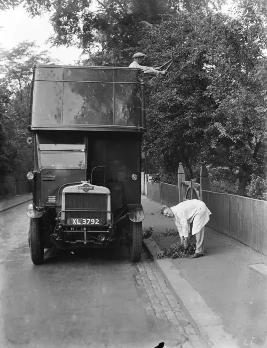 Framed Print : Maintenance men use a double decker bus to trim the overhanging tree branches above Framed Print : Maintenance men use a double decker bus to trim the overhanging tree branches above