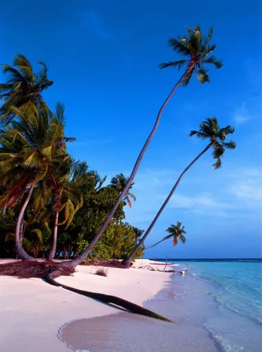 Framed Print : Maldives. Little Bandos
