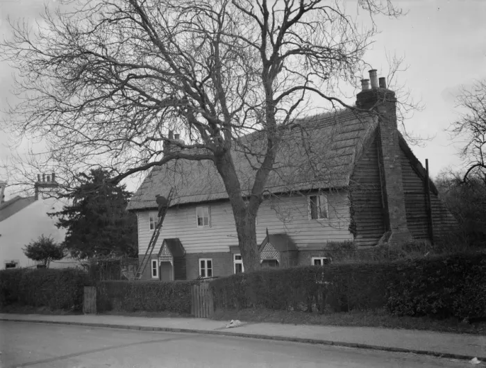 Framed Print : A man climbs the ladder to have a look at the thatching on the roof of a cottage Framed Print : A man climbs the ladder to have a look at the thatching on the roof of a cottage