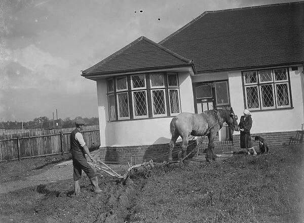 A man and his horse ploughing in the back garden. 1935
