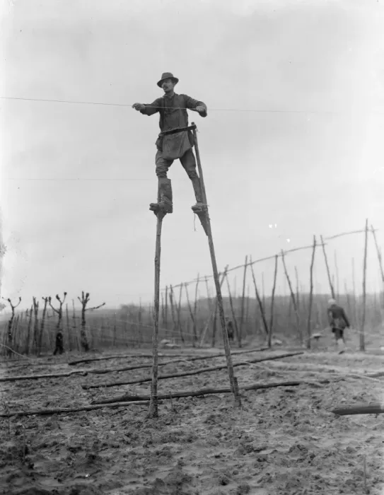 Framed Print : A man uses stilts for the stringing of the hop poles. 1937 Framed Print : A man uses stilts for the stringing of the hop poles. 1937