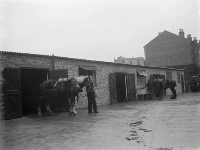 Framed Print : A man walks a horse out of the stables. 1936 Framed Print : A man walks a horse out of the stables. 1936