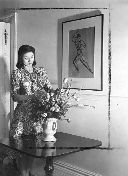 Margot Fonteyn at home. A charming study of Margot Fonteyn, as she arranges tulips