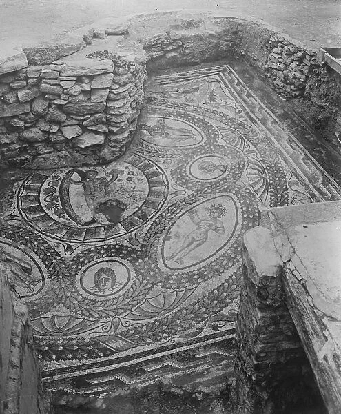 Marvellous mosaic unearthed in Algeria A section of the wonderful punic pavement