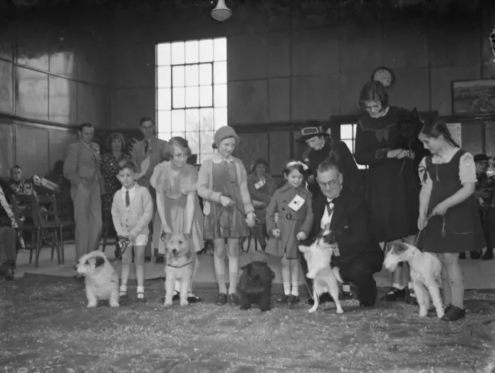 Framed Print : The Mayor of Woolwich at the Peoples Dispensary for Sick Animals ( PDSA ) dog show