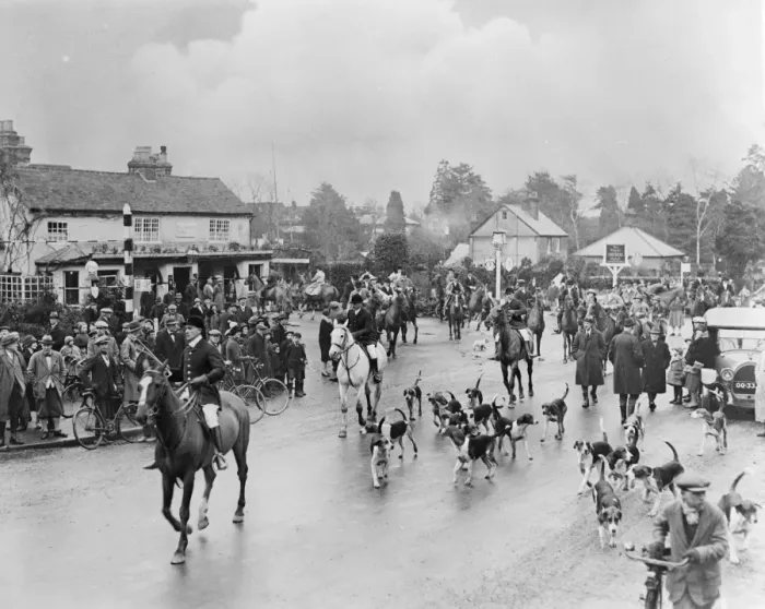 Framed Print : Meet of Garth Hunt at Royal Foresters Hotel, Ascot. The field is moving off. 24 Framed Print : Meet of Garth Hunt at Royal Foresters Hotel, Ascot. The field is moving off. 24
