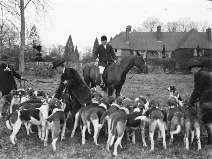 Framed Print : Meet of the New Forest staghounds at Fountain Court, Brook. 20 November 1922 Framed Print : Meet of the New Forest staghounds at Fountain Court, Brook. 20 November 1922