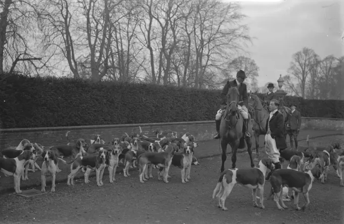 Framed Print : Meet of the Warwickshire hunt at Upton House 9 December 1932 Framed Print : Meet of the Warwickshire hunt at Upton House 9 December 1932