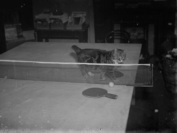 Minnie and Parson play ping pong. 1935
