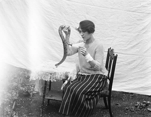 Miss Delhi feeding her pet baby boa constrictor with bottles of milk. August 1922