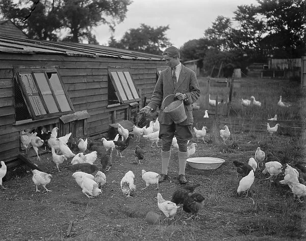 Miss Foster winner of Kings prize at Bisley at home of her chicken farm. 21 July 1930