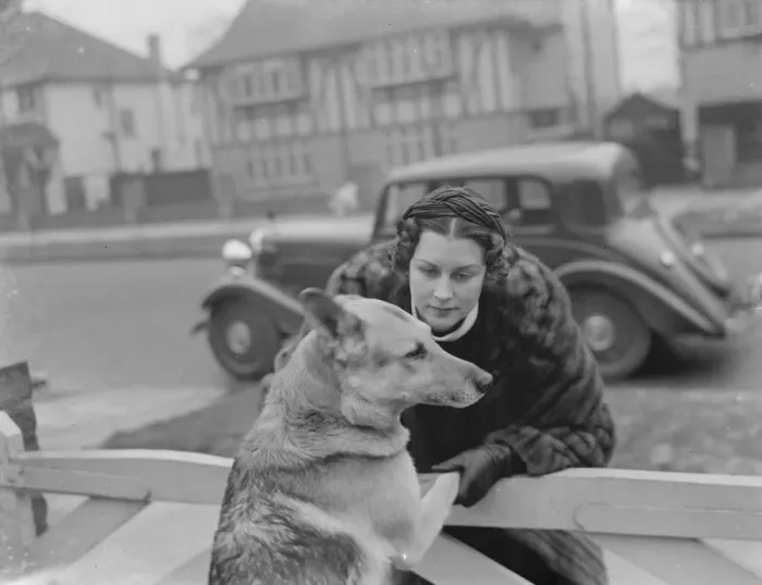 Framed Print : Miss Muriel Oxford is welcomed to the gate by an excitable dog. 1937 Framed Print : Miss Muriel Oxford is welcomed to the gate by an excitable dog. 1937