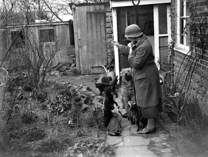 Framed Print : Miss Nancy Rutherford outside the house with her cats and dogs. 1934