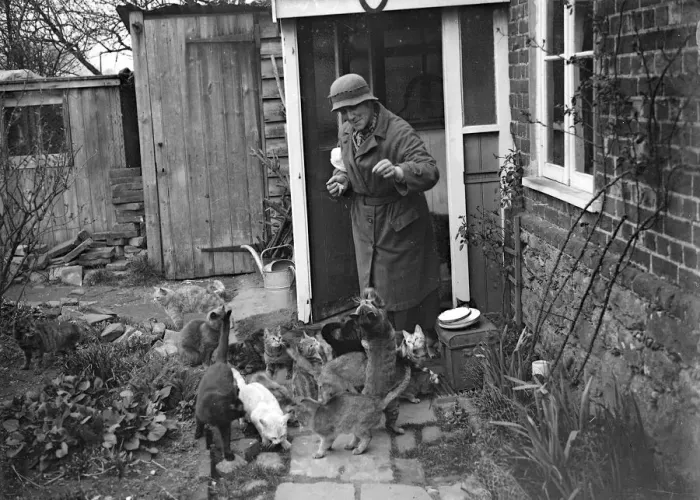 Framed Print : Miss Nancy Rutherford outside the house feeding her 15+ cats. 1934 Framed Print : Miss Nancy Rutherford outside the house feeding her 15+ cats. 1934