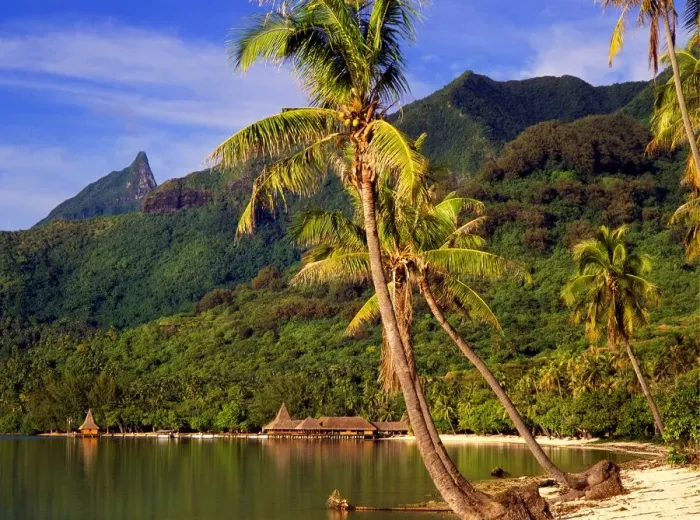Framed Print : Morea Tahiti Framed Print : Morea Tahiti