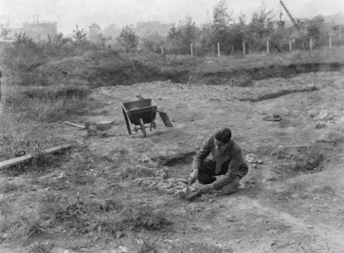Framed Print : Mr Greenfield at the site where excavation is under way to dig up a Roman villa in Framed Print : Mr Greenfield at the site where excavation is under way to dig up a Roman villa in