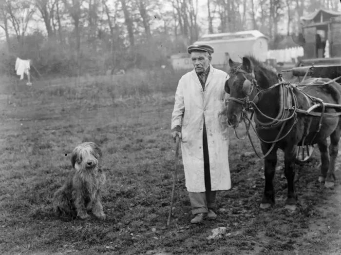 Framed Print : Mr Groombridge poses with his sheepdog next to a poney and trap. 1936 Framed Print : Mr Groombridge poses with his sheepdog next to a poney and trap. 1936