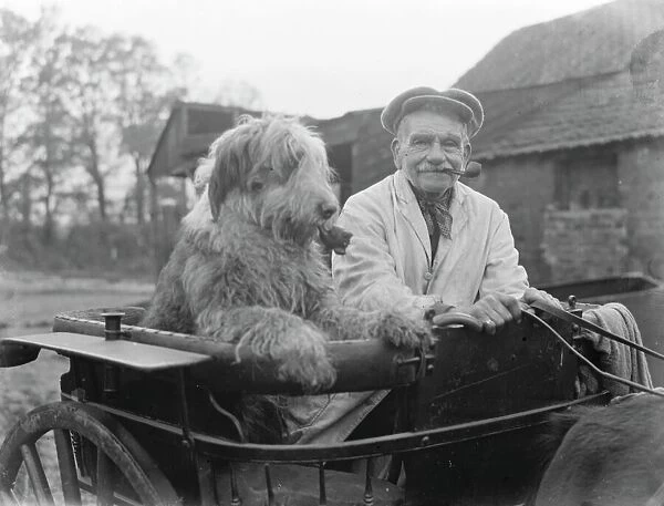 Mr Groombridge and his sheepdog, smoking their pipes, aboard their poney trap