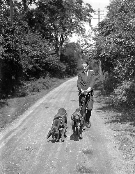 Mr J Chamberlain and his bloodhounds on the trail