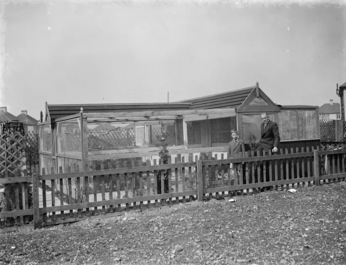 Framed Print : Mr R G Halls bird aviary at Bexleyheath, Kent. 25 March 1938