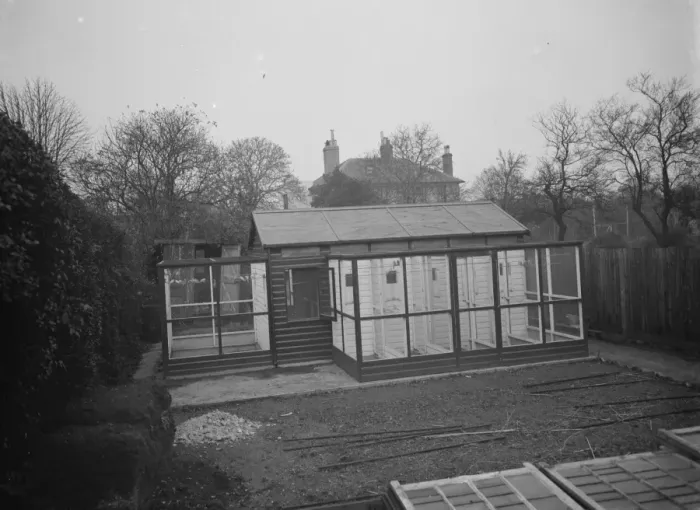 Framed Print : Mr R Woolseys bird aviary in Dartford, Kent 1937