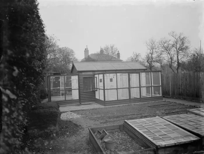 Framed Print : Mr R Woolseys bird aviary in Dartford, Kent 1937 Framed Print : Mr R Woolseys bird aviary in Dartford, Kent 1937