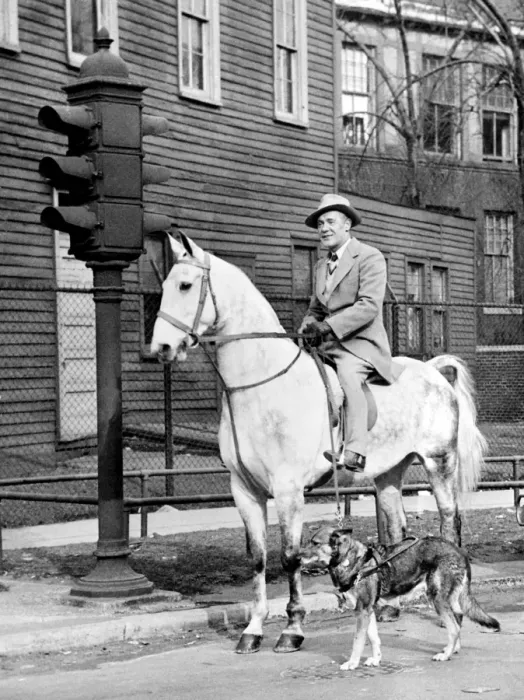 Framed Print : Mr Roberts Coleman on his horse Northern Star is halted at a Chicago road crossing