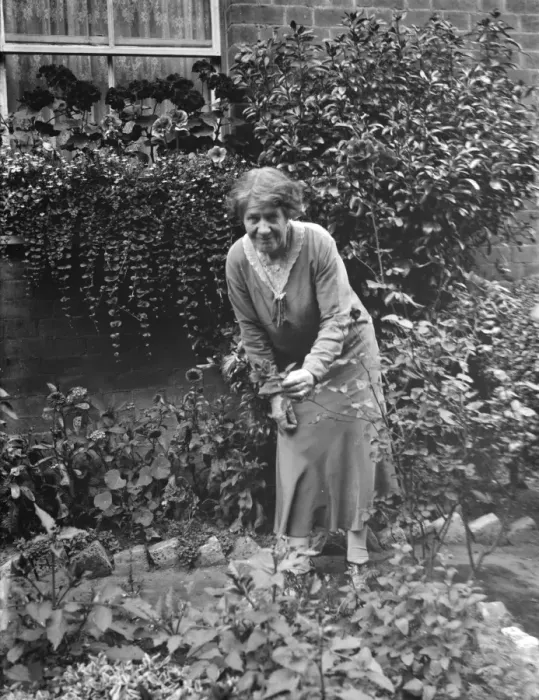 Framed Print : Mrs Annie Longhurst, window box prize winner at Crockenhill. 1938
