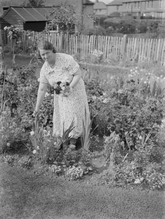 Framed Print : Mrs Es Hollands wins 1st prize garden competition, Dartford. 1937