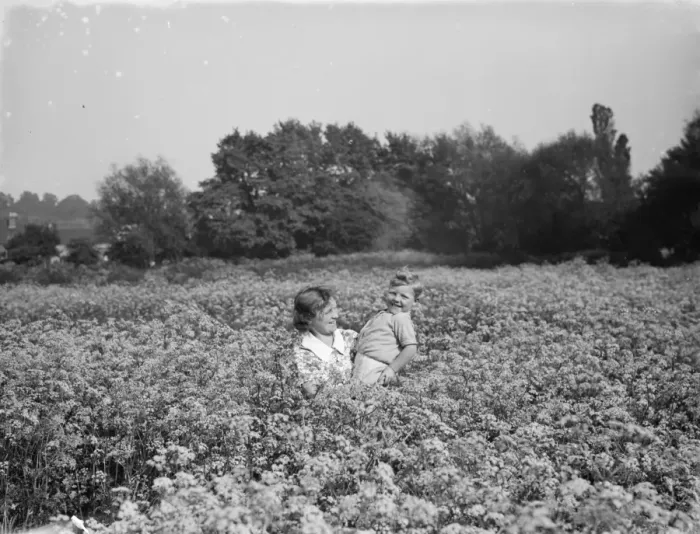 Framed Print : Mrs Francis and children walking through a field of cowslips. 1936 Framed Print : Mrs Francis and children walking through a field of cowslips. 1936