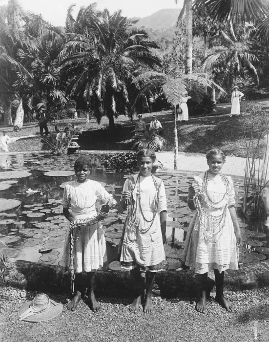 Framed Print : Native family to please the Duke and Duchess. A picture from Jamaica, showing Framed Print : Native family to please the Duke and Duchess. A picture from Jamaica, showing