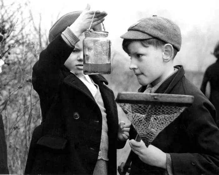 Framed Print : Nature Walk Boys fishing with nets and jam jars Framed Print : Nature Walk Boys fishing with nets and jam jars