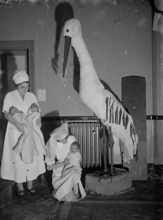 Framed Print : New babies from the maternity ward encounter a model stork at the Russell Stoneham Framed Print : New babies from the maternity ward encounter a model stork at the Russell Stoneham