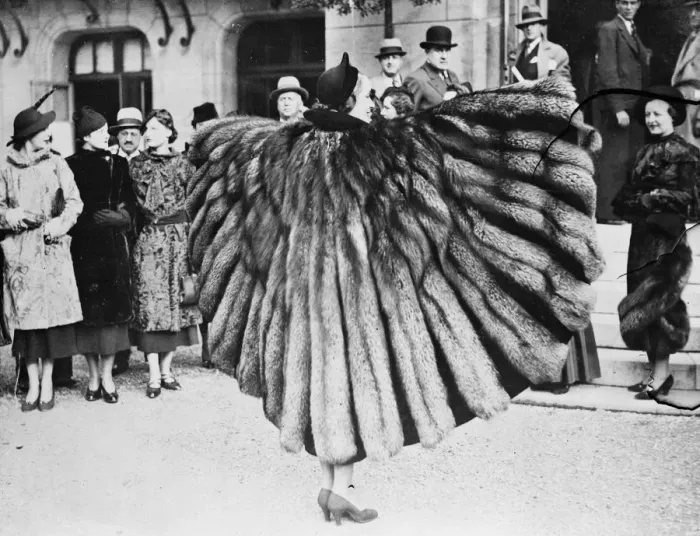 Framed Print : New fur models for winter - novel wing effect. A novel wing effect given Framed Print : New fur models for winter - novel wing effect. A novel wing effect given