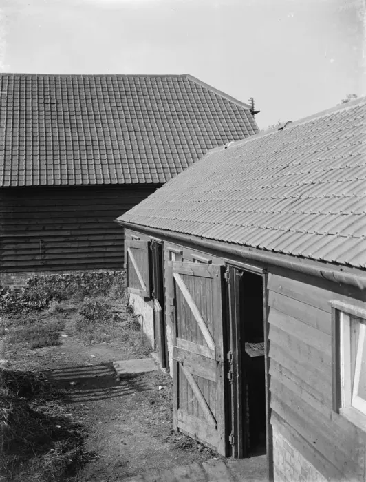 Framed Print : Newly tiled roofs on barns. 1935