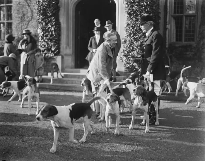 Framed Print : Old Berkeley Hounds meet at Chequers. Mr Baldwin making friends with the hounds