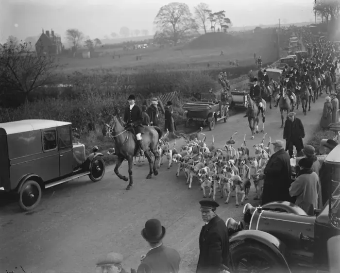 Framed Print : Opening meet of the Quorn Hunt at Kirby Gate. Hounds leading the field. 10 November Framed Print : Opening meet of the Quorn Hunt at Kirby Gate. Hounds leading the field. 10 November