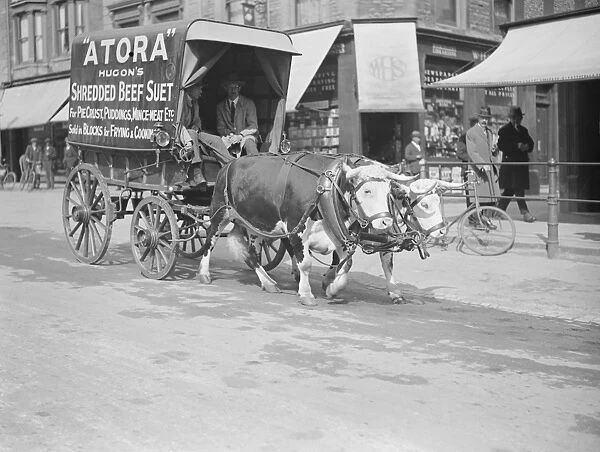 An ox drawn cart at Banbury 28 March 1923