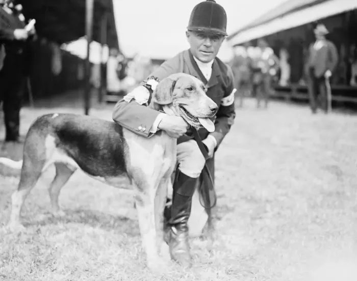 Framed Print : Peterborough foxhound show was held at Peterborough on Wednesday. Tom Newman