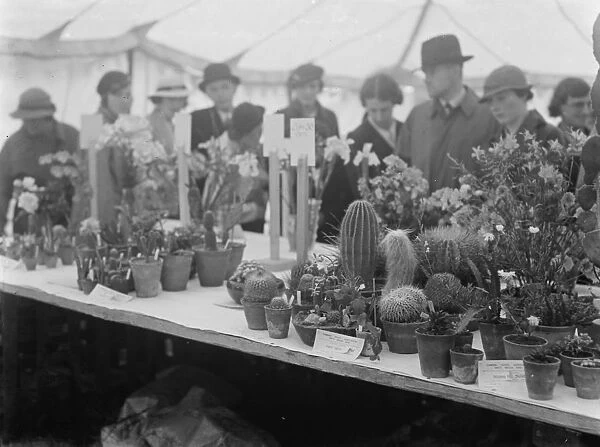 The Petts Wood fete flower show in Kent. 1936