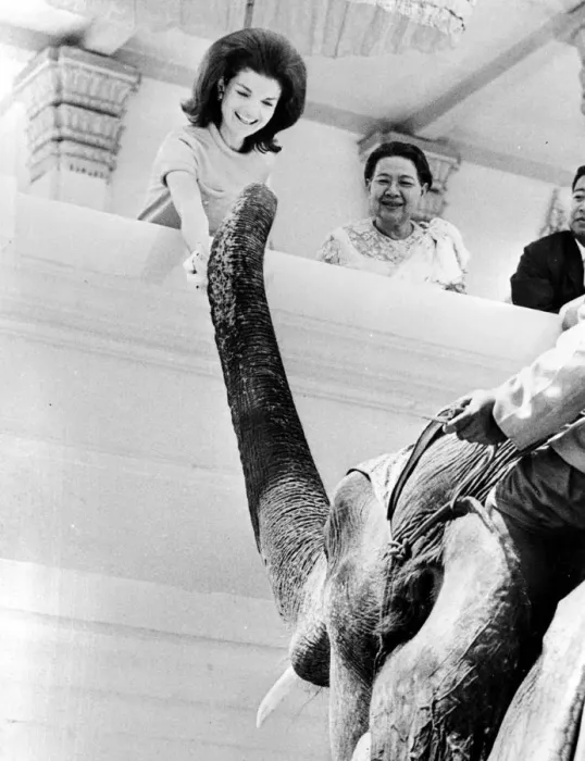 Framed Print : Phnom Penh : Mrs John. F. Kennedy gleefully feeds a Royal Elephant at the Khemarin