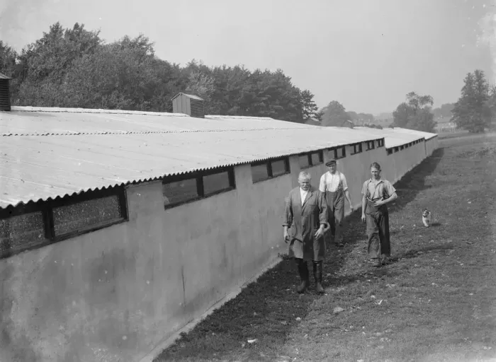Framed Print : Pig barn, Foots Cray, Kent. 1935 Framed Print : Pig barn, Foots Cray, Kent. 1935
